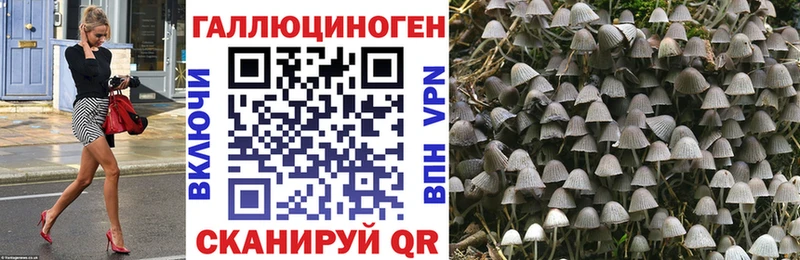 Купить где  Северская  Псилоцибиновые грибы мухоморы 